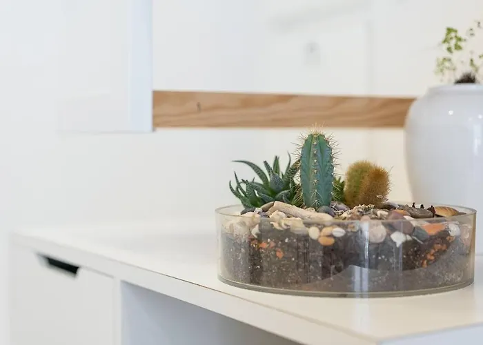 公寓 Art Wine Loft With Oporto View!