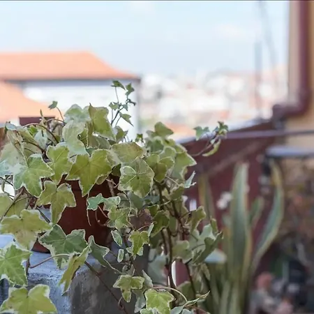 Lejlighed Elegant Duplex Avec Piscine Pres Du Doura Et Vue Sur Porto