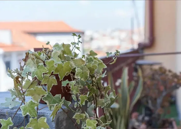 Apartamento Art Wine Loft With Oporto View!